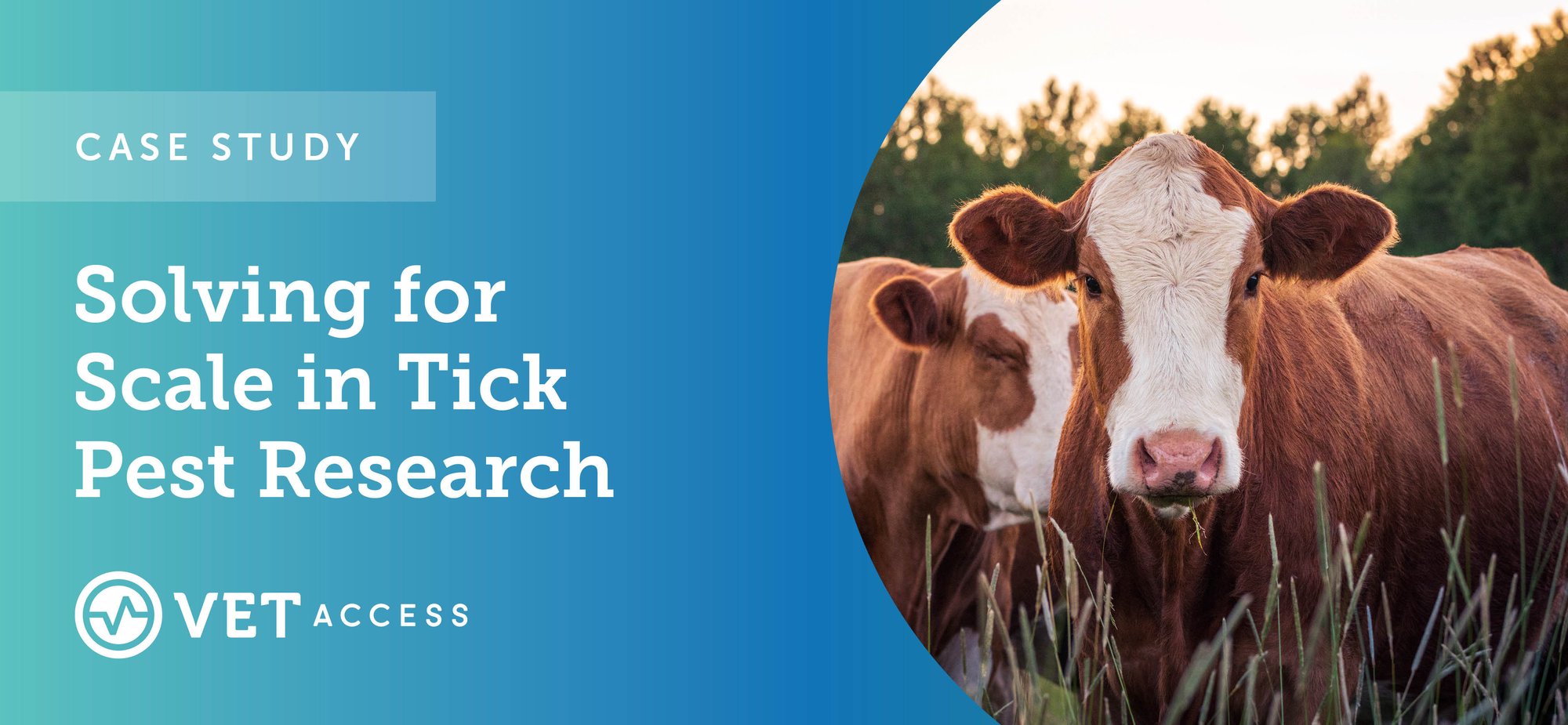 Case Study Solving for Scale in Tick Pest Research